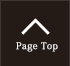 pagetop